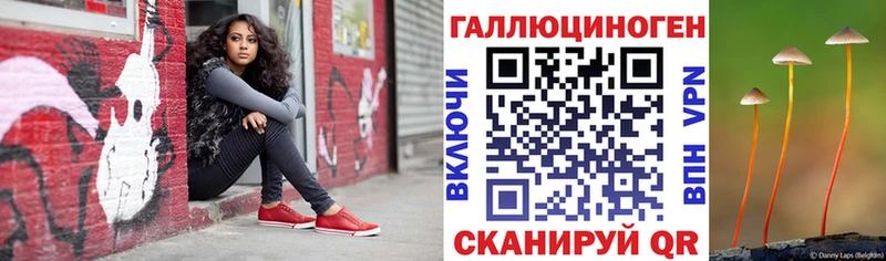 Галлюциногенные грибы Psilocybine cubensis  купить   МЕГА ONION  Туапсе 
